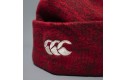Thumbnail of british---irish-lions-bobble-hat_623559.jpg