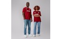 Thumbnail of british---irish-lions-classic-jersey_623671.jpg