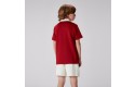 Thumbnail of british---irish-lions-kids-classic-jersey_623703.jpg