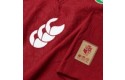 Thumbnail of british---irish-lions-replica-jersey_623277.jpg