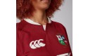 Thumbnail of british---irish-lions-replica-jersey_623282.jpg