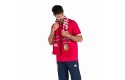 Thumbnail of british---irish-lions-supporters-scarf-red_178354.jpg