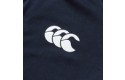 Thumbnail of british---irish-lions-t-shirt_623300.jpg