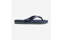 Thumbnail of havaianas-brasil-logo1_568275.jpg