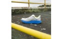 Thumbnail of hoka-arahi-74_598657.jpg