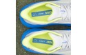 Thumbnail of hoka-arahi-74_598666.jpg