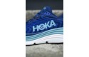 Thumbnail of hoka-gaviota-5-bellwether_534049.jpg