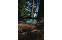 Thumbnail of hoka-speedgoat-5_495844.jpg