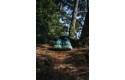 Thumbnail of hoka-speedgoat-5_495845.jpg