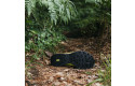 Thumbnail of inov-8-trailtalon-max_671867.jpg