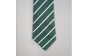 Thumbnail of nansloe-academy-elasticated-tie-green_275541.jpg