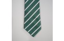 Thumbnail of nansloe-academy-tie-green_275561.jpg