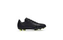 Thumbnail of nike-mercurial-vapor-15-club_446672.jpg