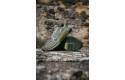 Thumbnail of nike-metcon-9-olive_503826.jpg