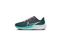 Thumbnail of nike-pegasus-40_530569.jpg