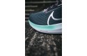 Thumbnail of nike-pegasus-40_534067.jpg