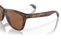 Thumbnail of oakley-frogskins_571240.jpg