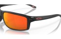 Thumbnail of oakley-gibston2_812336.jpg