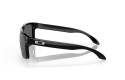 Thumbnail of oakley-holbrook6_812347.jpg