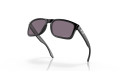 Thumbnail of oakley-holbrook9_812349.jpg