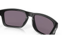 Thumbnail of oakley-holbrook9_812351.jpg