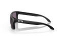 Thumbnail of oakley-holbrook9_812354.jpg
