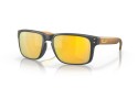 Thumbnail of oakley-holbrook_571352.jpg