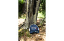 Thumbnail of pipeline-dots-trucker_673583.jpg