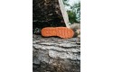Thumbnail of ridgemont-monty-hi-brown---orange_333784.jpg