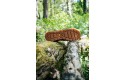 Thumbnail of ridgemont-monty-lo-black---gum_335501.jpg