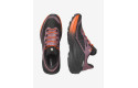 Thumbnail of salomon-genesis-21_844573.jpg