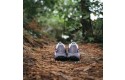 Thumbnail of salomon-genesis1_702881.jpg