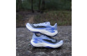Thumbnail of salomon-genesis2_788357.jpg