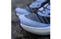Thumbnail of salomon-genesis2_788370.jpg
