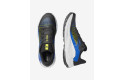 Thumbnail of salomon-genesis3_786591.jpg