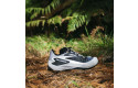 Thumbnail of salomon-genesis_703266.jpg