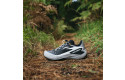 Thumbnail of salomon-genesis_703267.jpg
