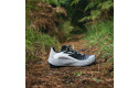 Thumbnail of salomon-genesis_703268.jpg