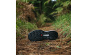 Thumbnail of salomon-genesis_703269.jpg