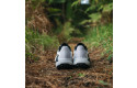Thumbnail of salomon-genesis_703270.jpg
