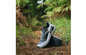 Thumbnail of salomon-genesis_703271.jpg