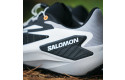 Thumbnail of salomon-genesis_703274.jpg