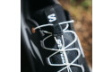Thumbnail of salomon-genesis_703279.jpg