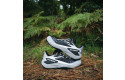 Thumbnail of salomon-genesis_703281.jpg