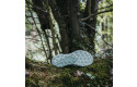 Thumbnail of saucony-peregrine-153_681840.jpg