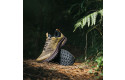 Thumbnail of saucony-ride-tr2_684667.jpg