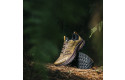 Thumbnail of saucony-ride-tr2_684668.jpg