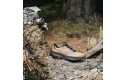 Thumbnail of saucony-xodus-ultra-4_671821.jpg