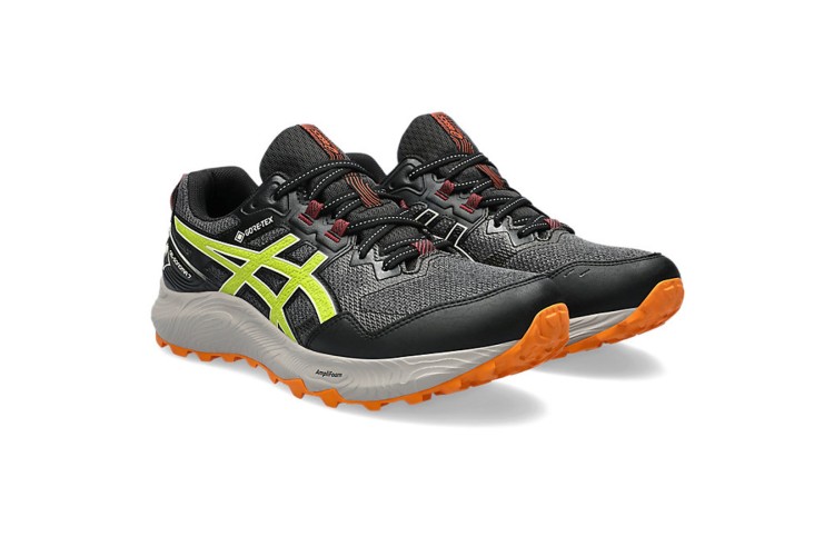 Asics gel nimbus gore tex top