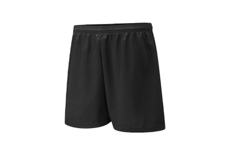 Richard Lander Unisex PE Shorts